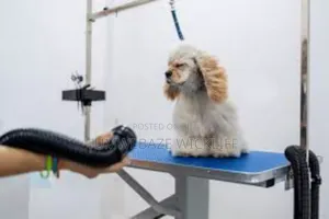 Dog Grooming