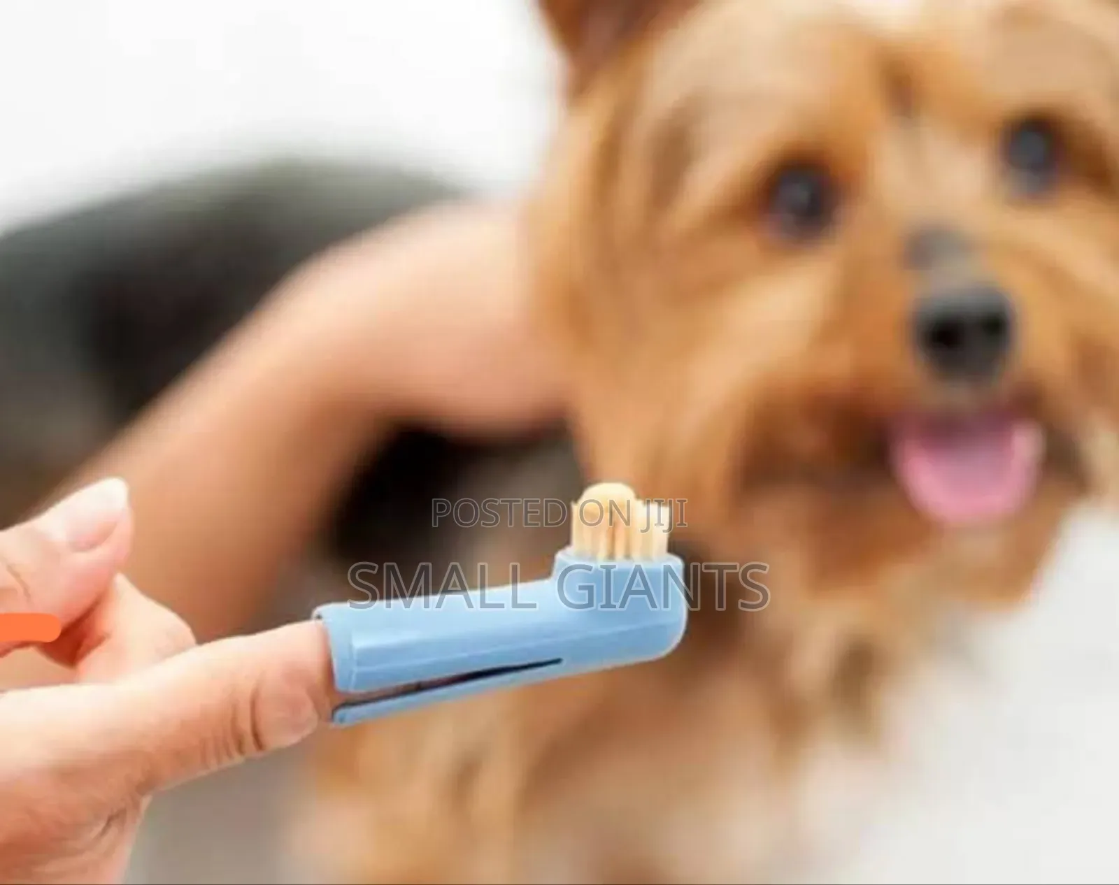 Luxury Paws Pet Finger Toothbrush Set