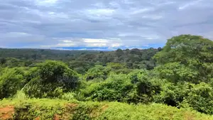 8 Acres of Land for Sale in Bigodi Adjacent Kibale Forest.