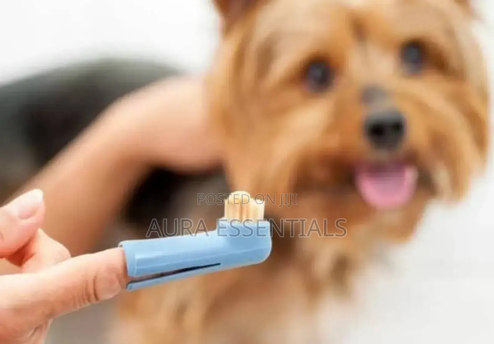 Cats and Dogs Toothbrush Set