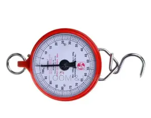 Heavy Duty Hook Type 100kg Weighing Scale