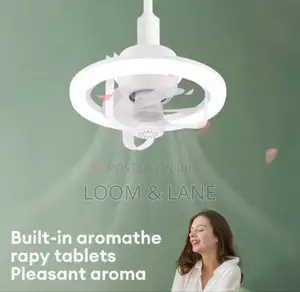 Ceiling Fan Light Aromatherapy