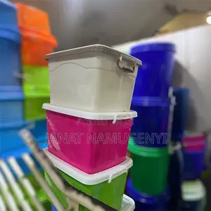 Plastic Large Capacity Storage Box