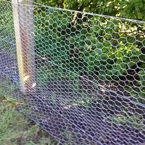 7 by 25ft Chicken Wiremesh