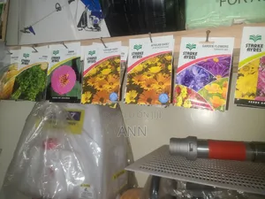 Flower Seeds