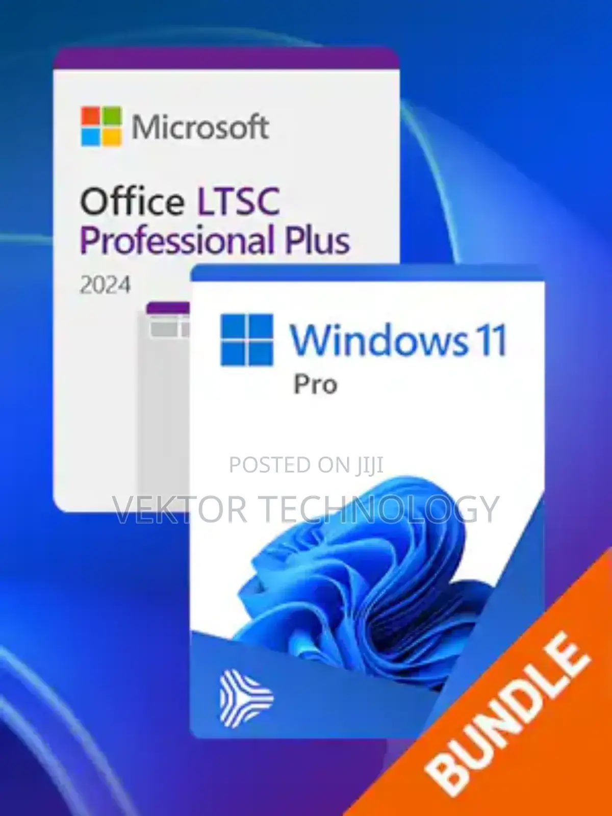 Windows 11 or 10 + Office 2024 Pro Plus Bootable Flash