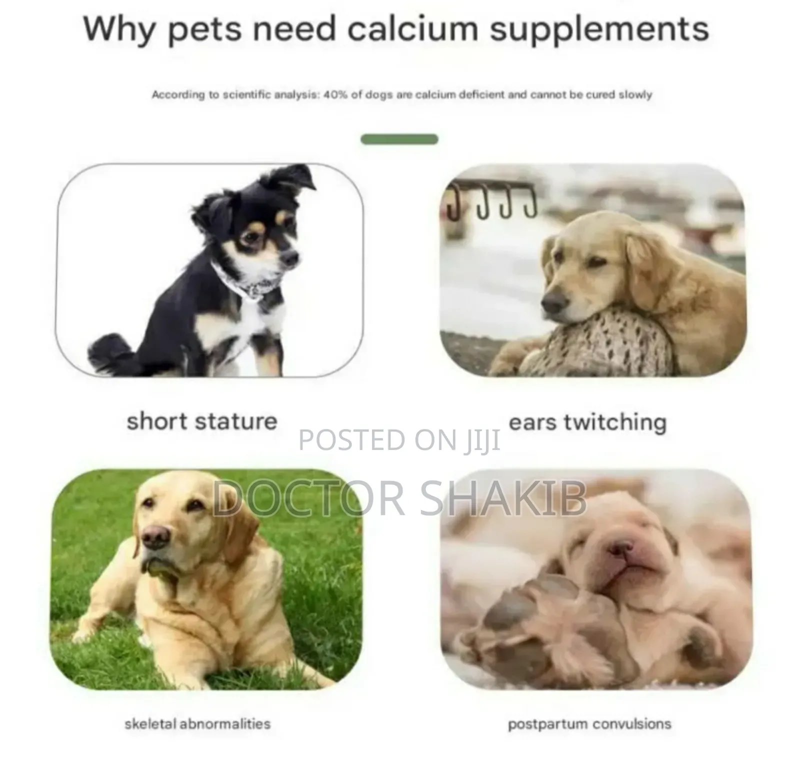 New Pet Nutritional Supplements