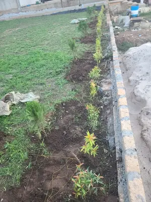 Compound Design