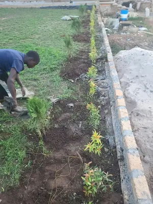 Compound Design
