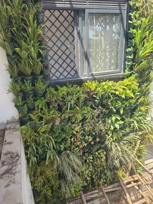 Wall Gardening
