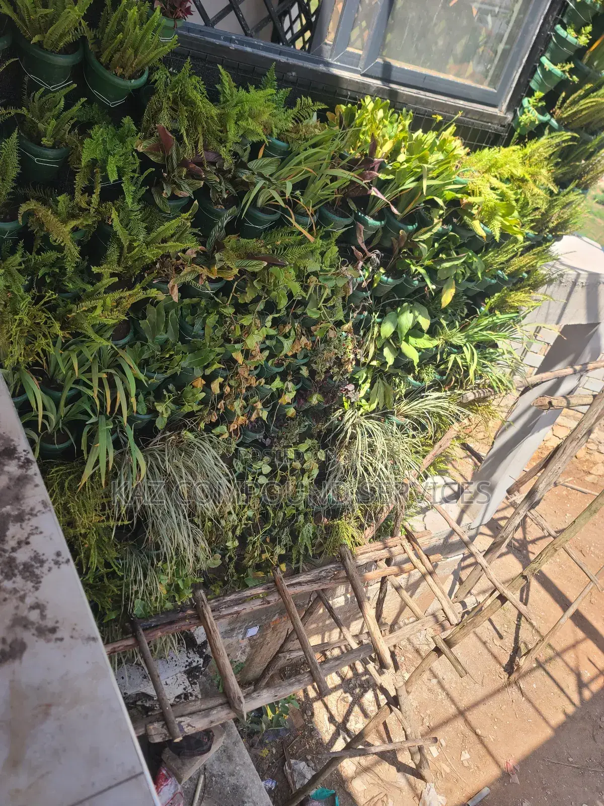 Wall Gardening
