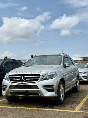 Mercedes-Benz M Class 2014 Silver
