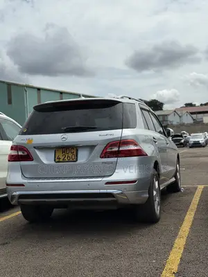 Mercedes-Benz M Class 2014 Silver