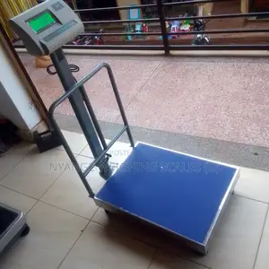 SJS A12 400kg Platform Weighing Machine