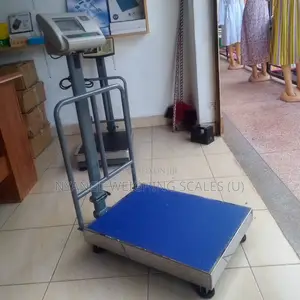 Portable Platform Weigh Scale Electric Weighing Scales 400kg
