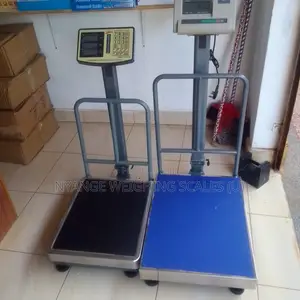 Industrial Weighing Scale Platform Weigh Scale SJS A12 400kg
