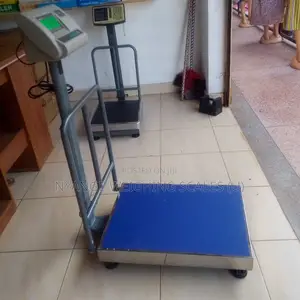 Weighing Scales Balance Platform Weighing Scale A12 400kg Weigh