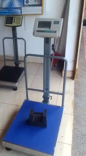 SJS 400kg Weighing Scale Commercial Weigh Platform Weighing Scale