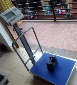 High Precision Weigh Scale Platform Weighing Scale SJS 400kg