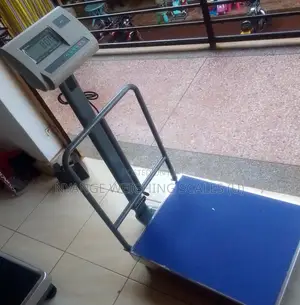 Platform Weighing Scale Digital Platform Weighing Scales 400kg Weights