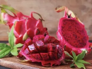 Dragon Fruit Seedlings