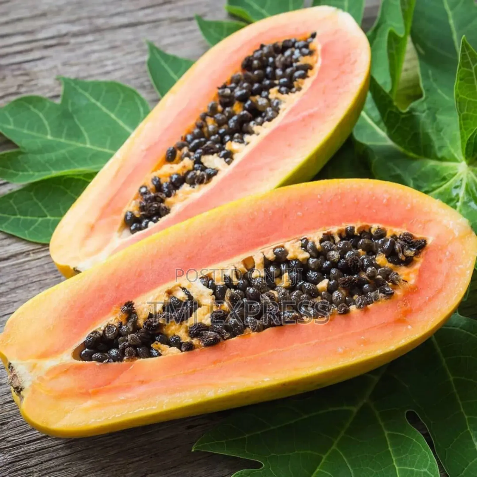 Pawpaw Seedlings