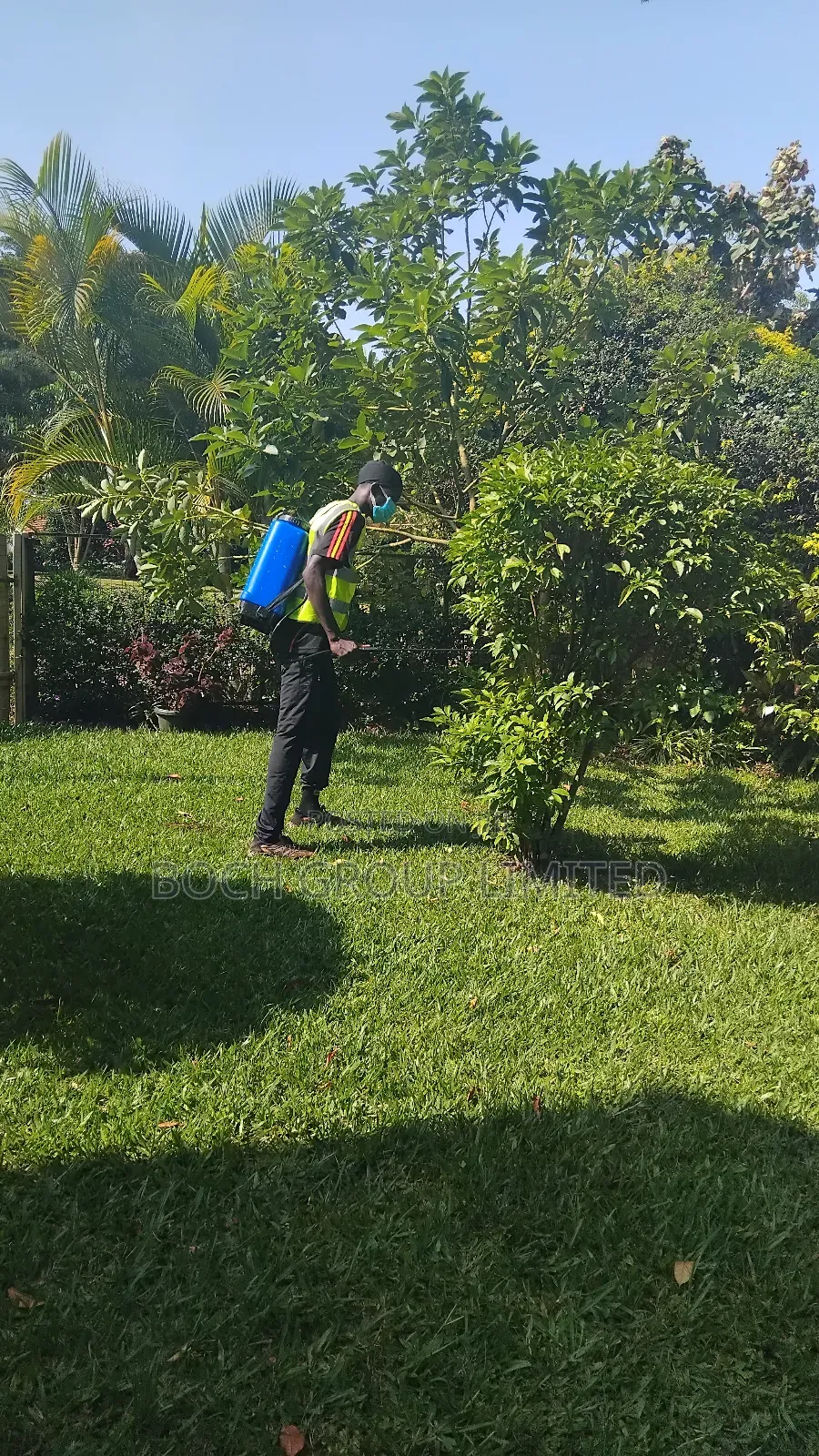 Fumigation Pest Control