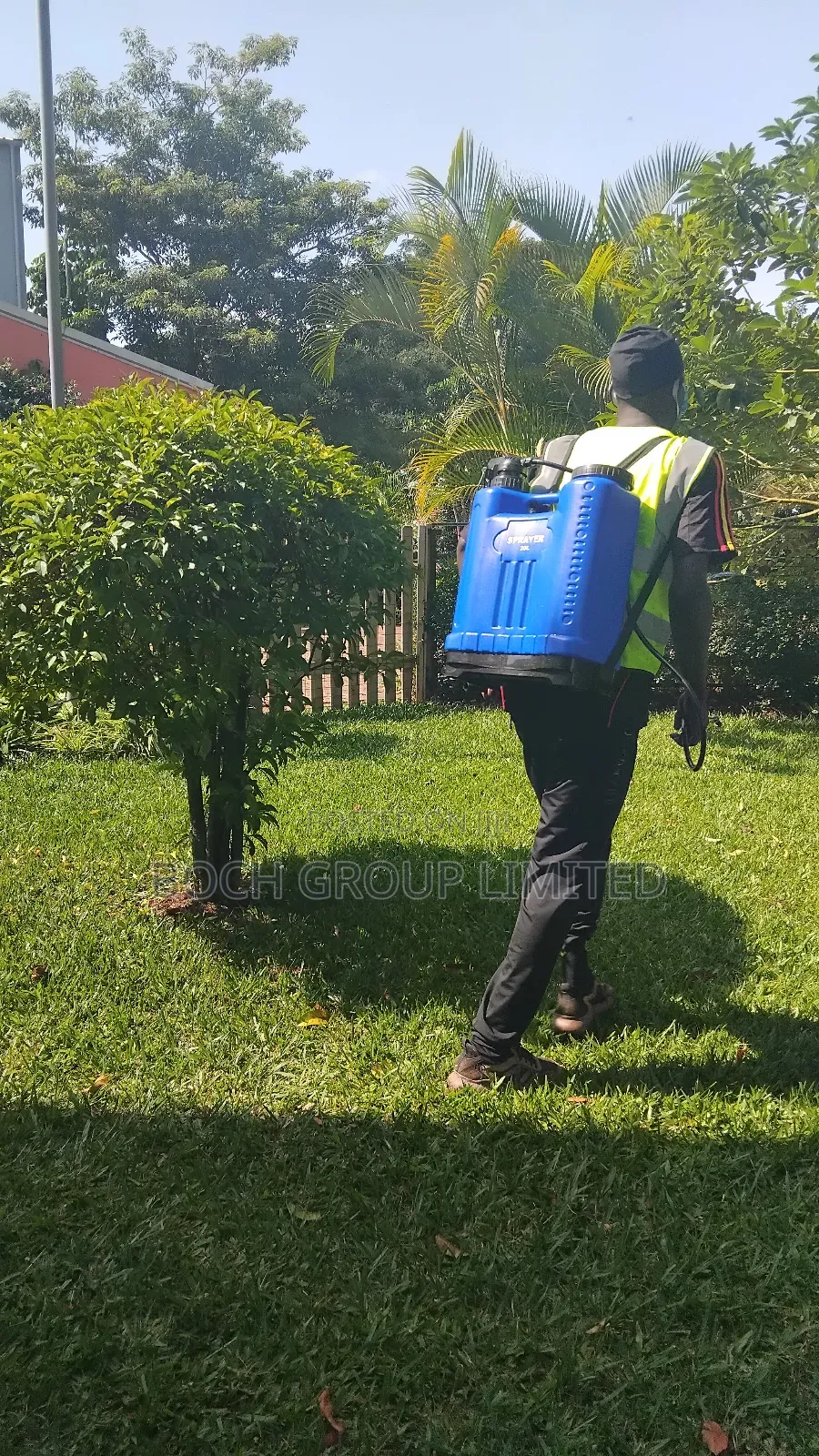 Fumigation Pest Control