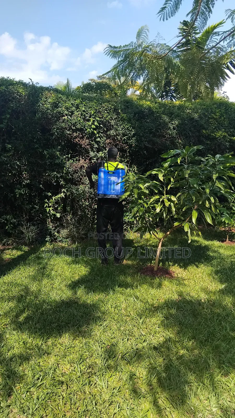Fumigation Pest Control
