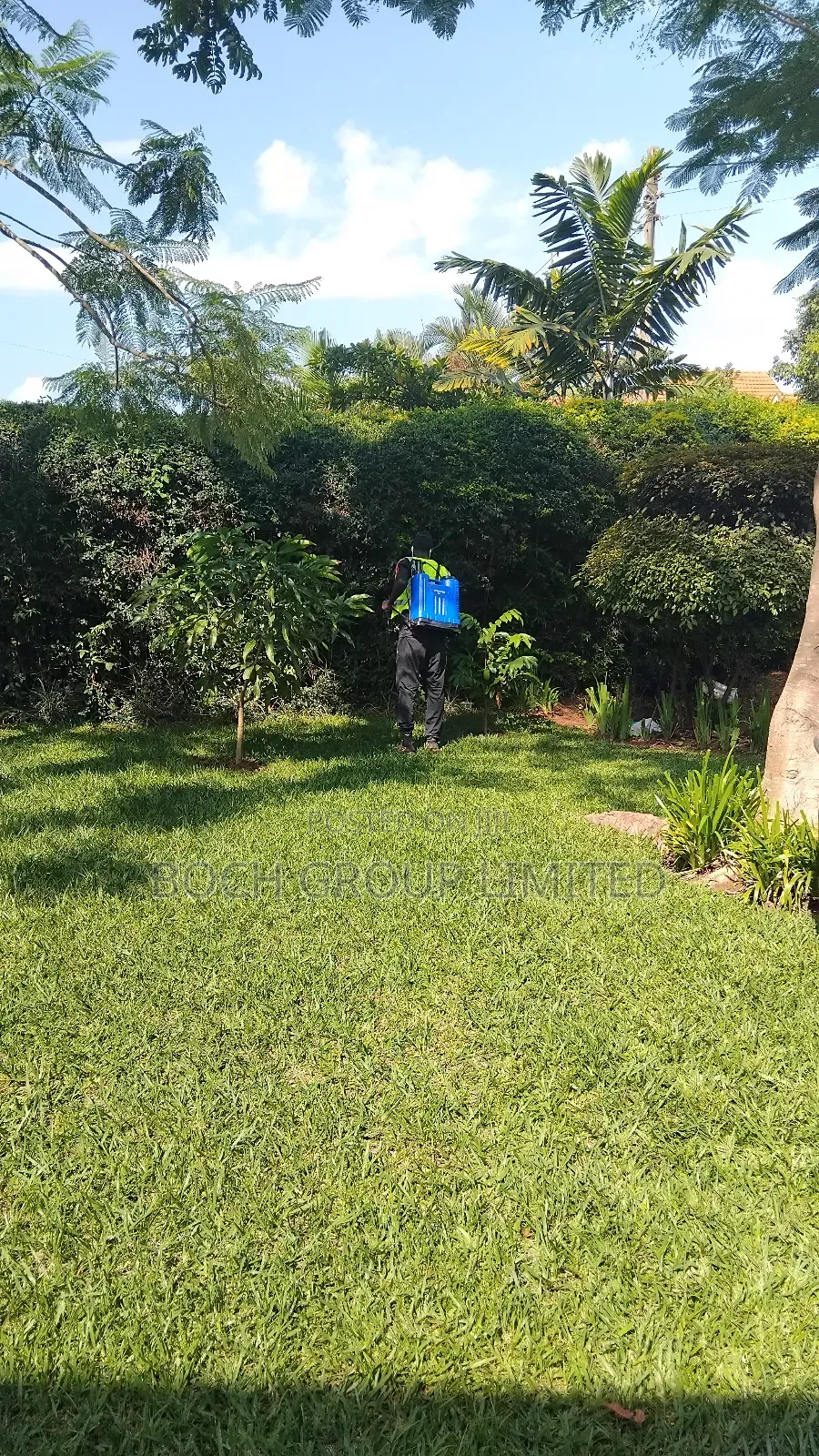 Fumigation Pest Control