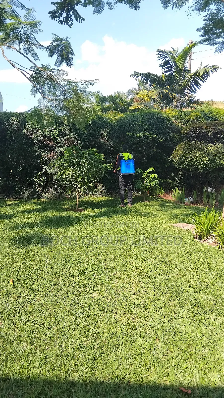 Fumigation Pest Control