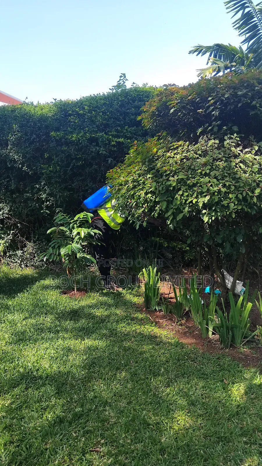 Fumigation Pest Control