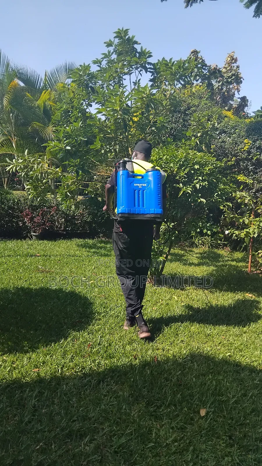 Fumigation Pest Control