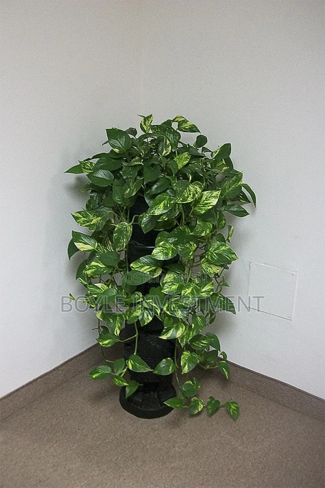 Office Plant Maintenance