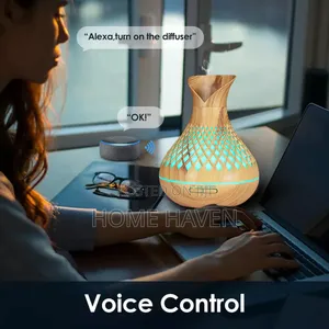 3 in 1 Aroma Diffuser Humidifier