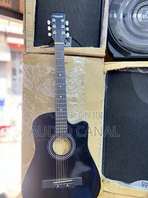 Dream Maker Acoustic Guitar