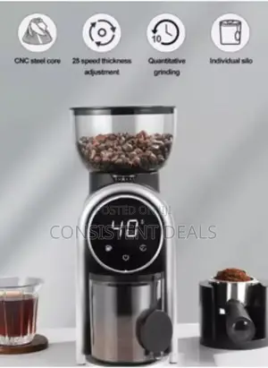 2in1 Conical Automatic Burr Coffee Grinder