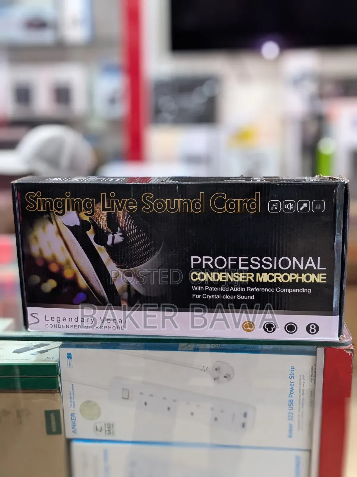 Professional Condenser Microphone