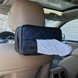 Car Backseat Tissue Holder