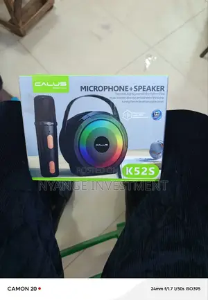 Microphone+Speaker 