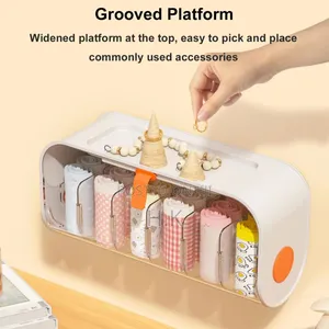 Wall Mounted Underwear Storage Box