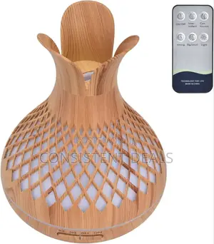 300ml Aromatherapy Portable Humidifier