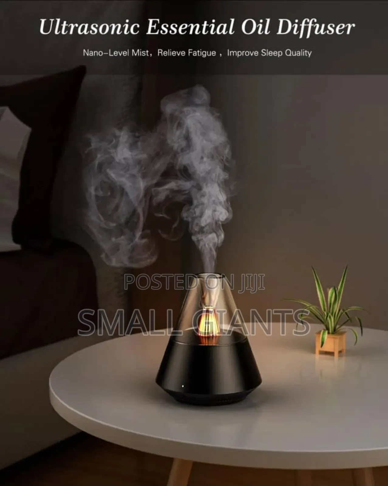 Ultrasonic Essential Oil Diffuser