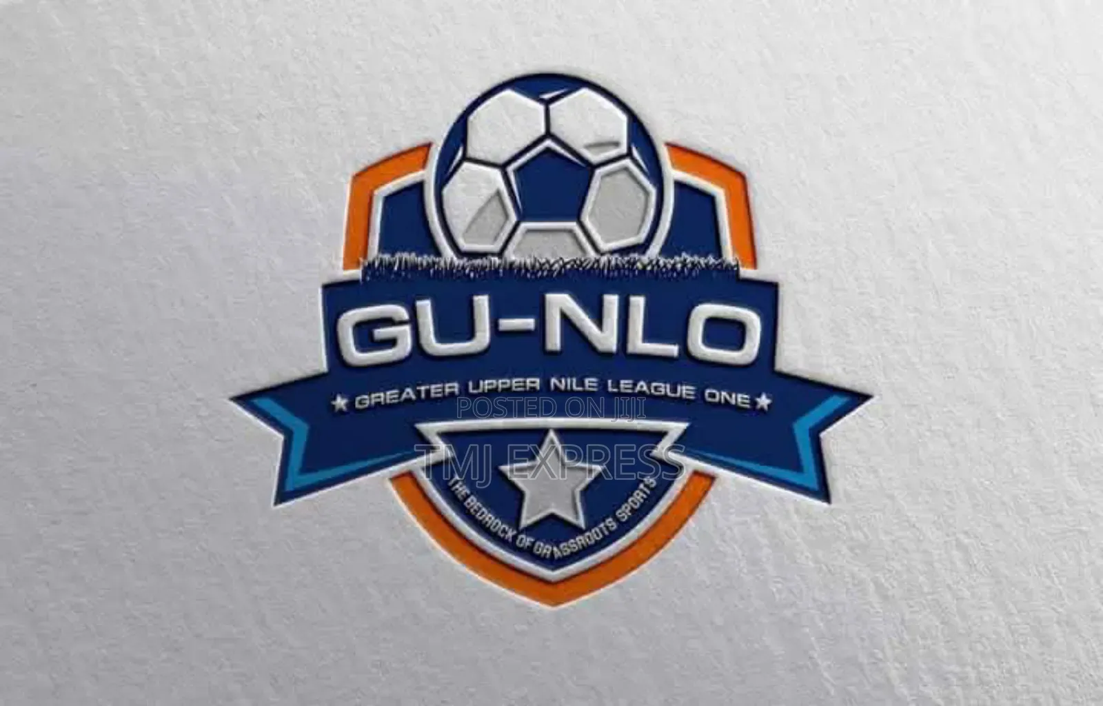 Professional Logo Design