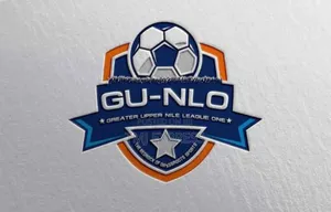 Professional Logo Design