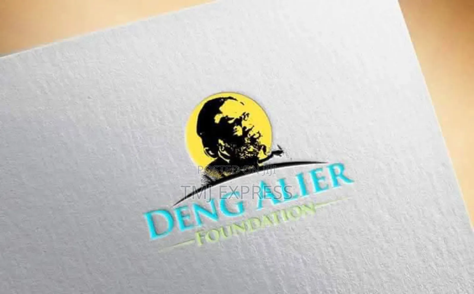 Professional Logo Design
