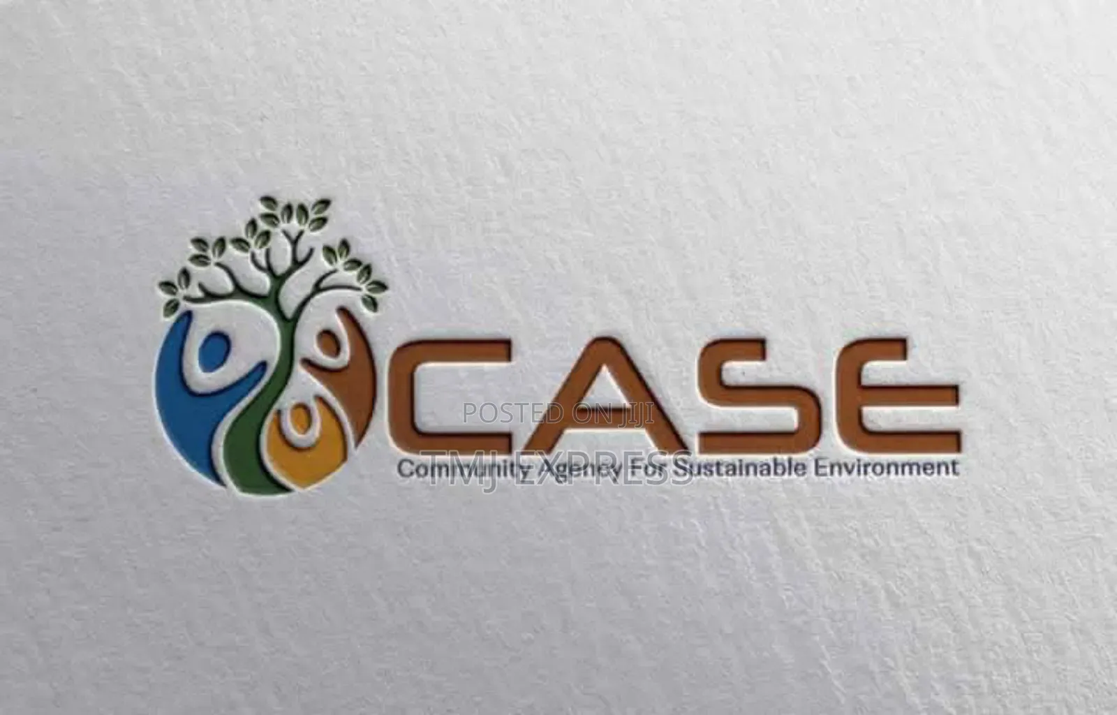 Professional Logo Design