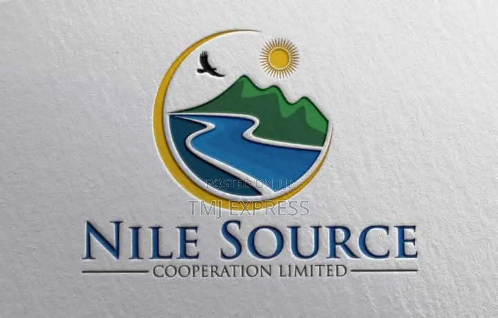 Professional Logo Design