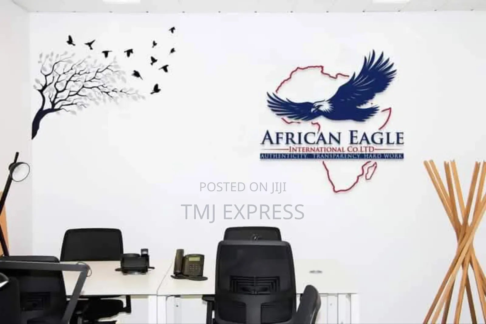 Professional Logo Design