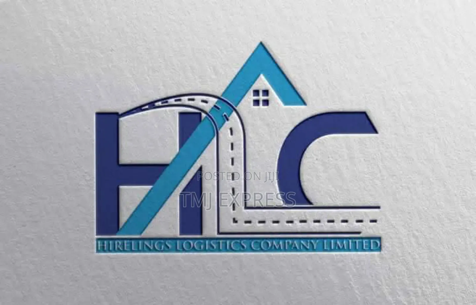 Professional Logo Design